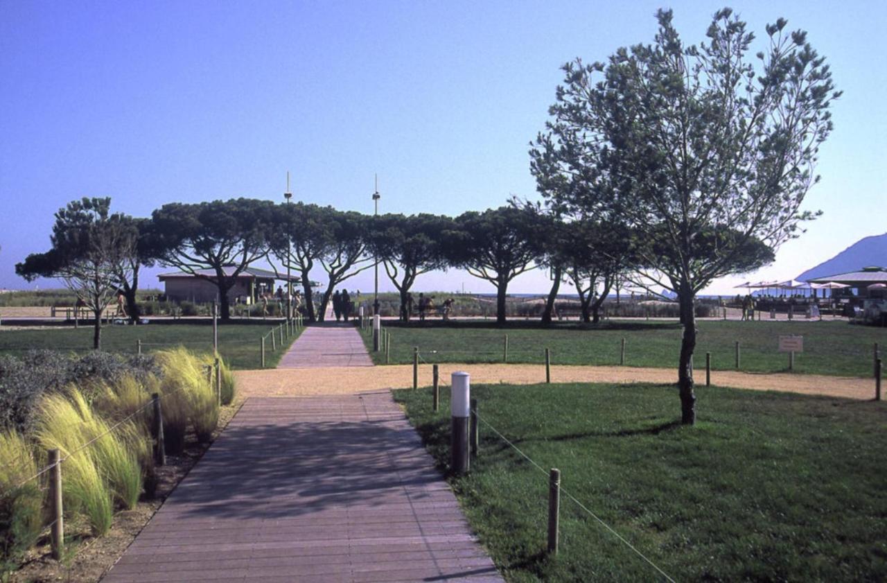 Charmant Appart. 500M Plages Des Sablettes 滨海拉塞讷 外观 照片